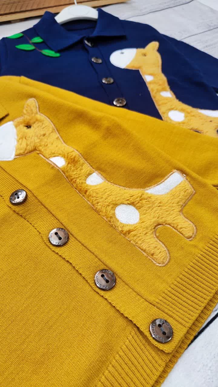 photo_2024-09-02_11-02-56