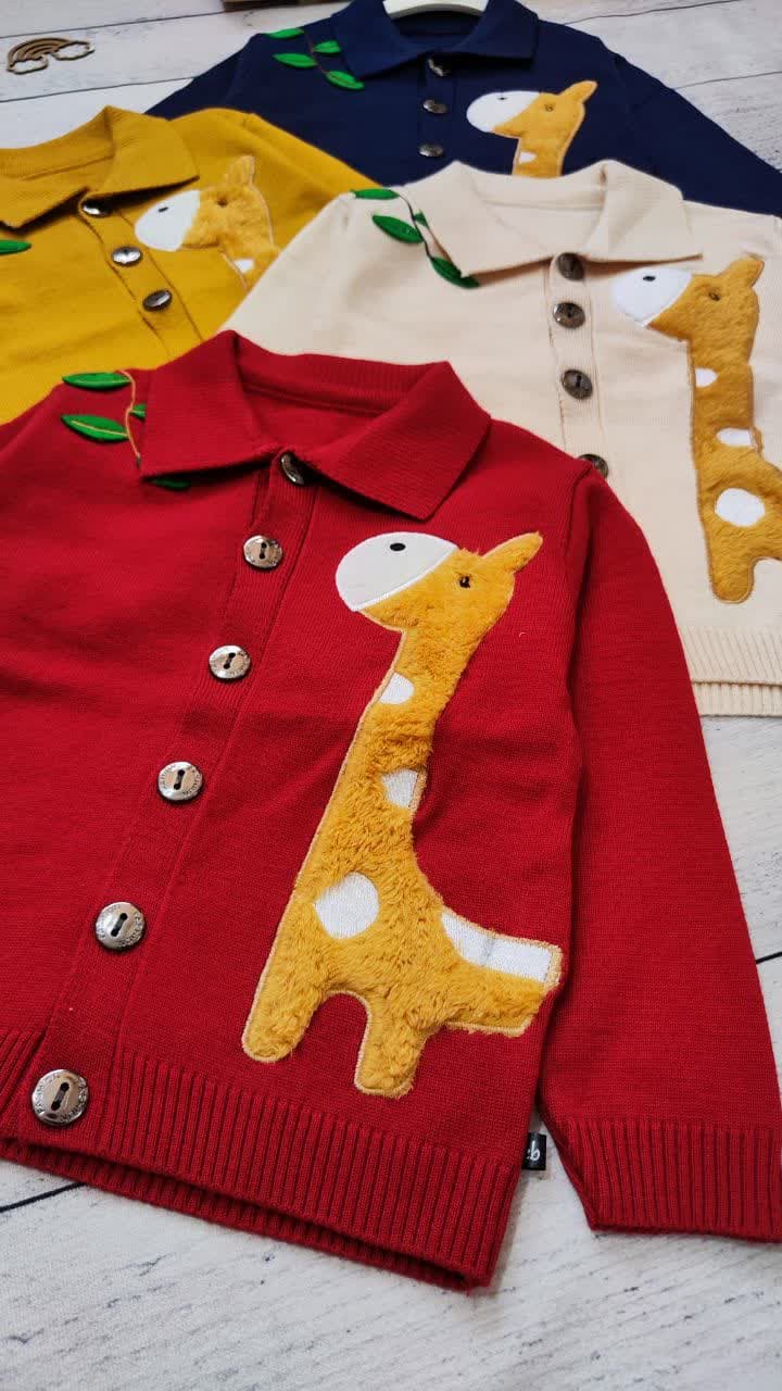 photo_2024-09-02_11-03-05