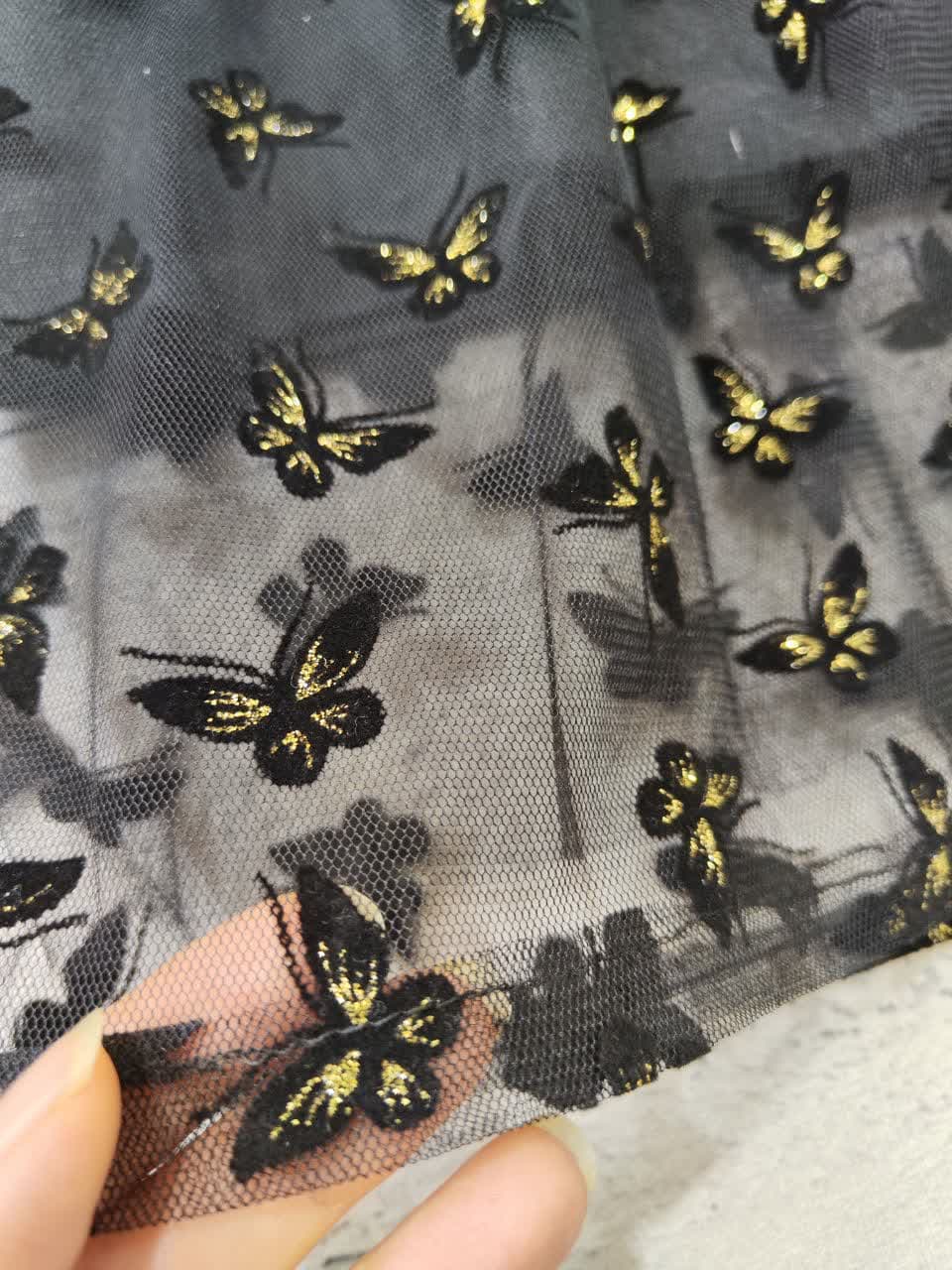 photo_2025-05-19_10-40-44