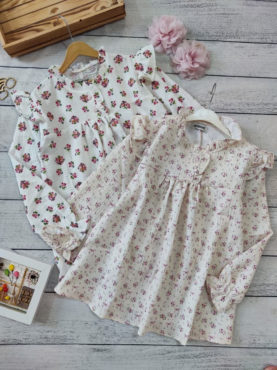 photo_2025-08-12_16-00-25